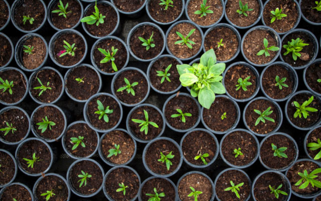 Buch selber vermarkten: gezielt auffallen!